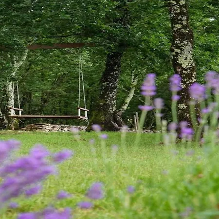 Luxury With Swimming Pool And Sauna Trogir