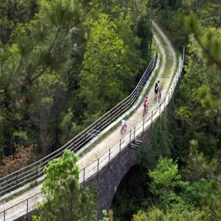 Luxury With Swimming Pool And Sauna Villa