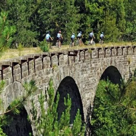 Luxury With Swimming Pool And Sauna Villa Trogir